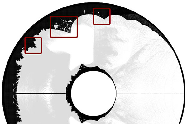 Families of connected self-similar sets generated by complex trees