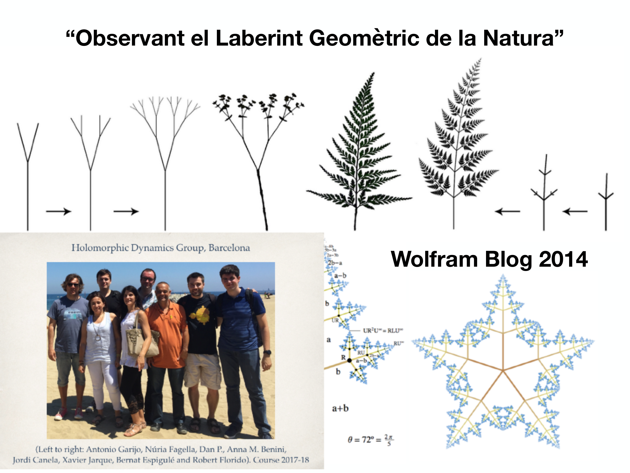 Slide 2: Bridges 2013 Wolfram Blog 2014 “Observant el Laberint Geomètric de la Natura”