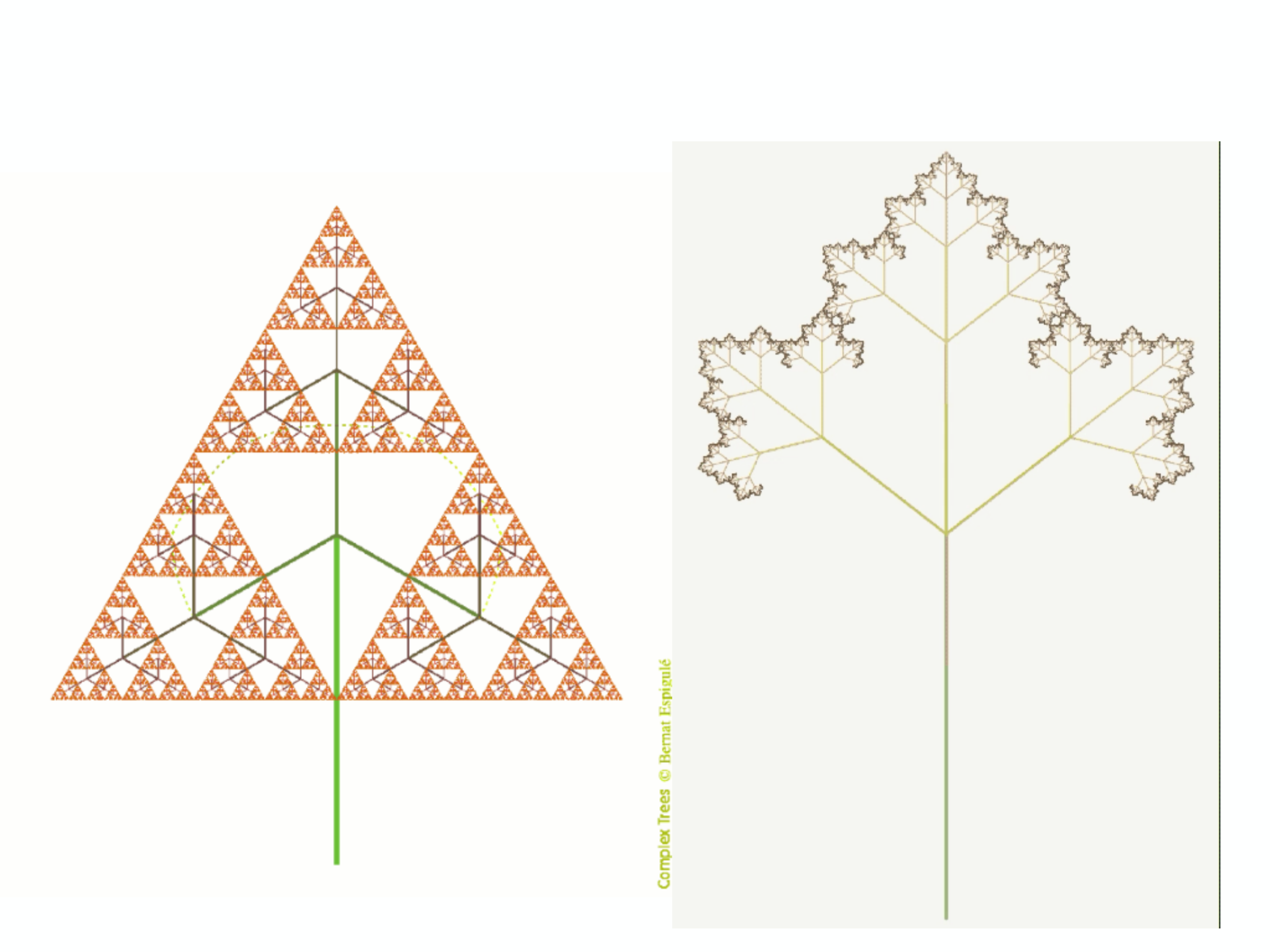 Slide 16 — visual material from the original presentation