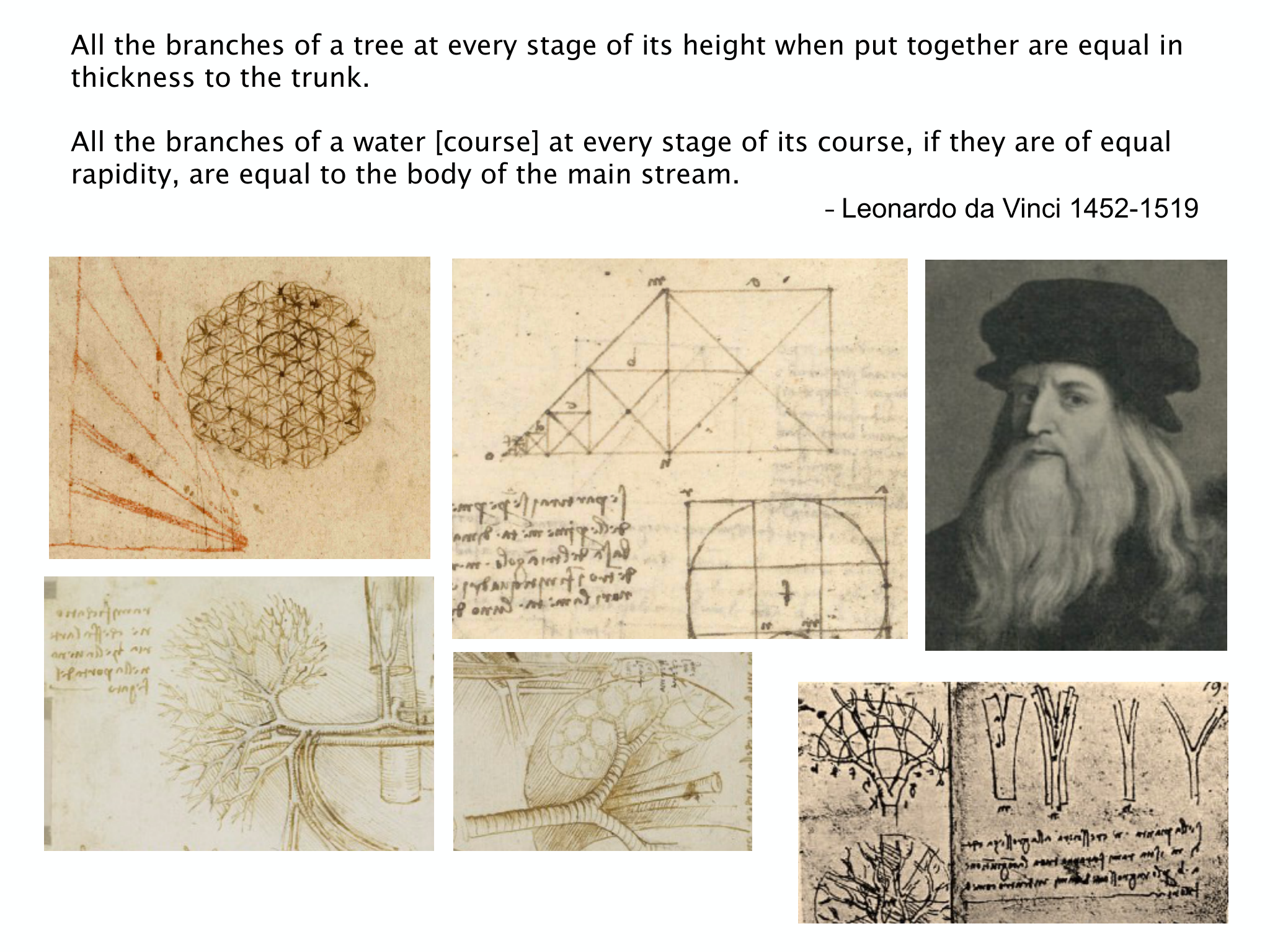 Slide 23: All the branches of a tree at every stage of its height when put together are equal in thickness to the trunk. All the branches of a water [course] at every stage of its 