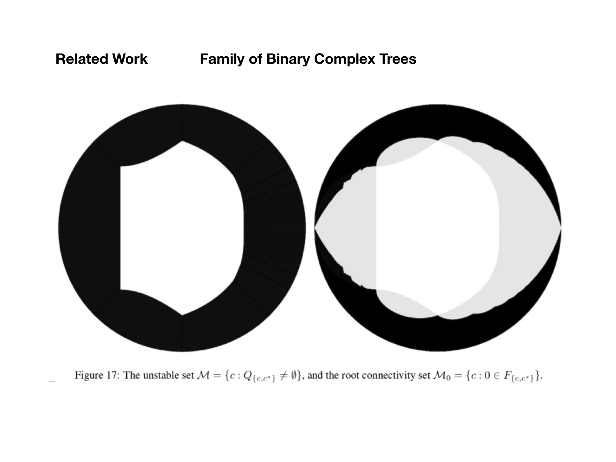 Slide 29: Related Work Family of Binary Complex Trees
