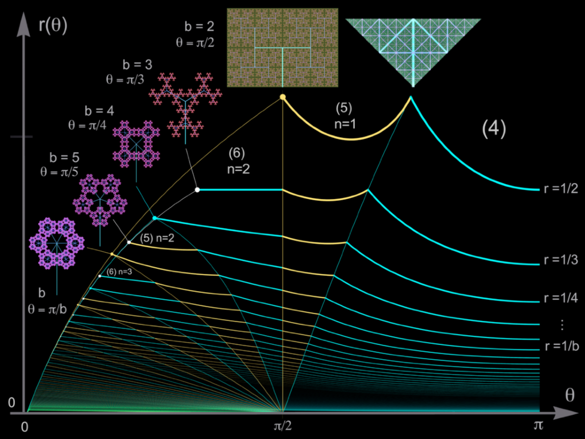 Slide 39: Symmetric Fractal Trees ￼