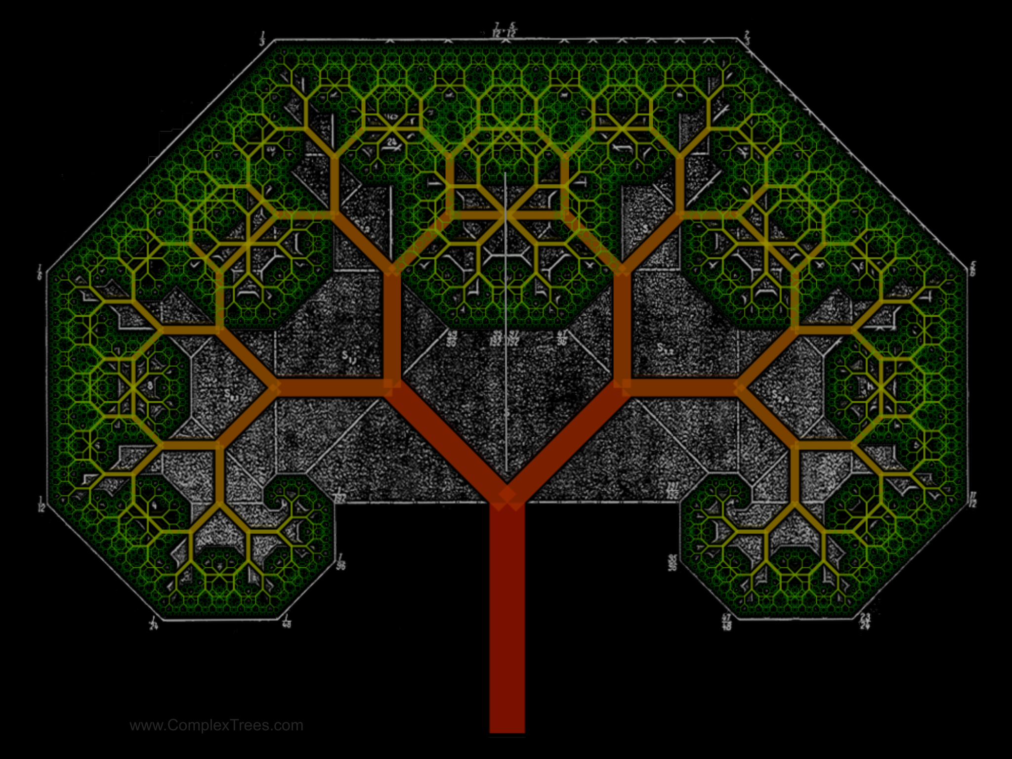 Slide 4: r0 = ￼ r3 Linear Extension of the Trunk LLL r1 = www.ComplexTrees.com r n