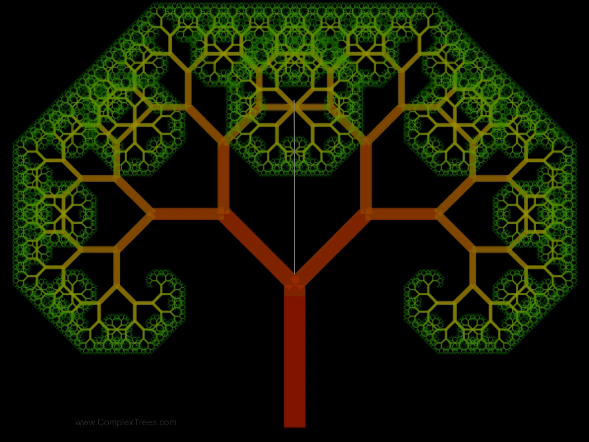 Slide 5: www.ComplexTrees.com