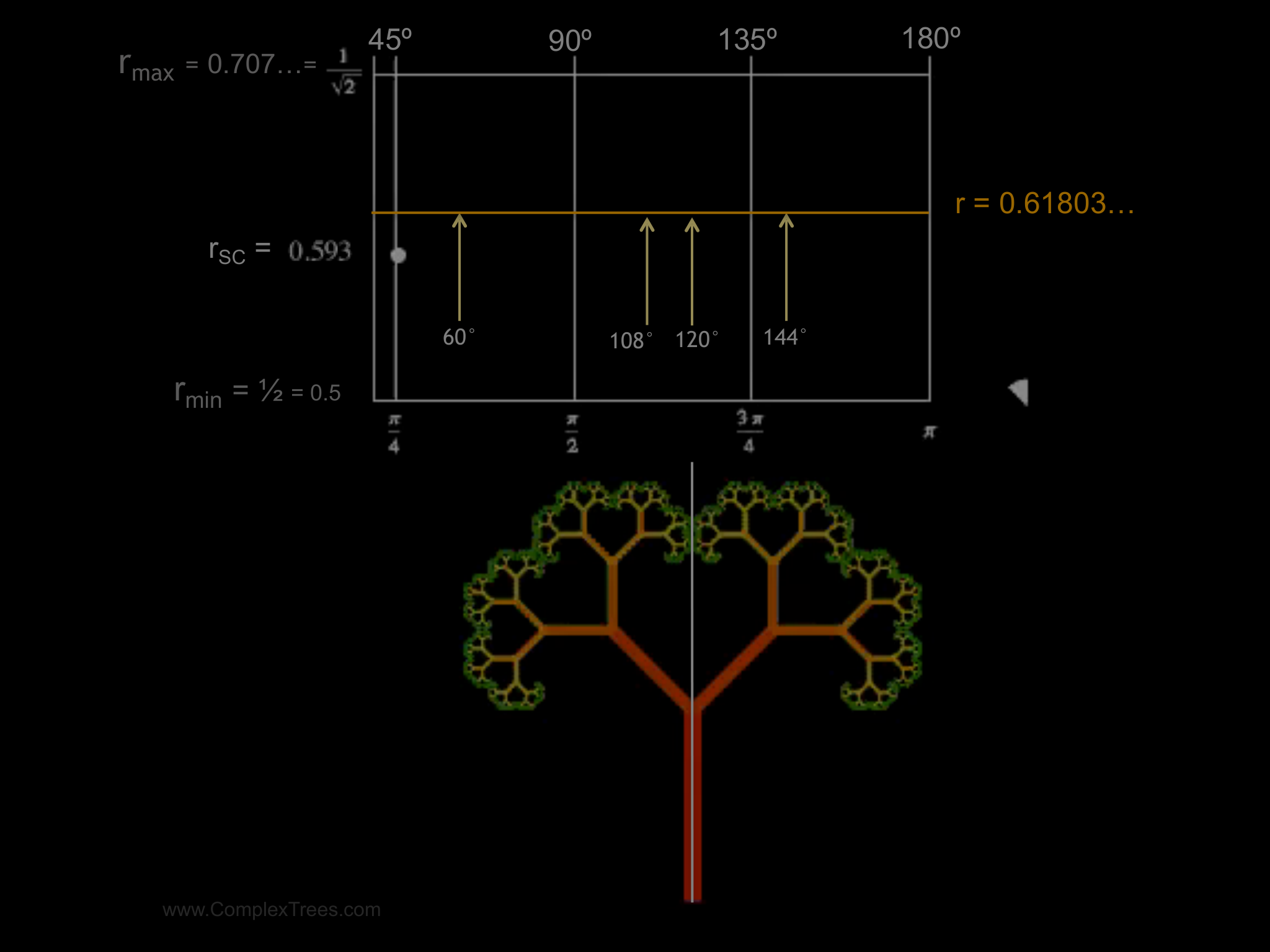 Slide 6: ￼ r = 0.61803… 45º 90º 60° 108° rSC = Classification of Fractal Trees 135º www.ComplexTrees.com 120° 144° 180º rmin = ½ = 0.5 rmax = 0.707…=