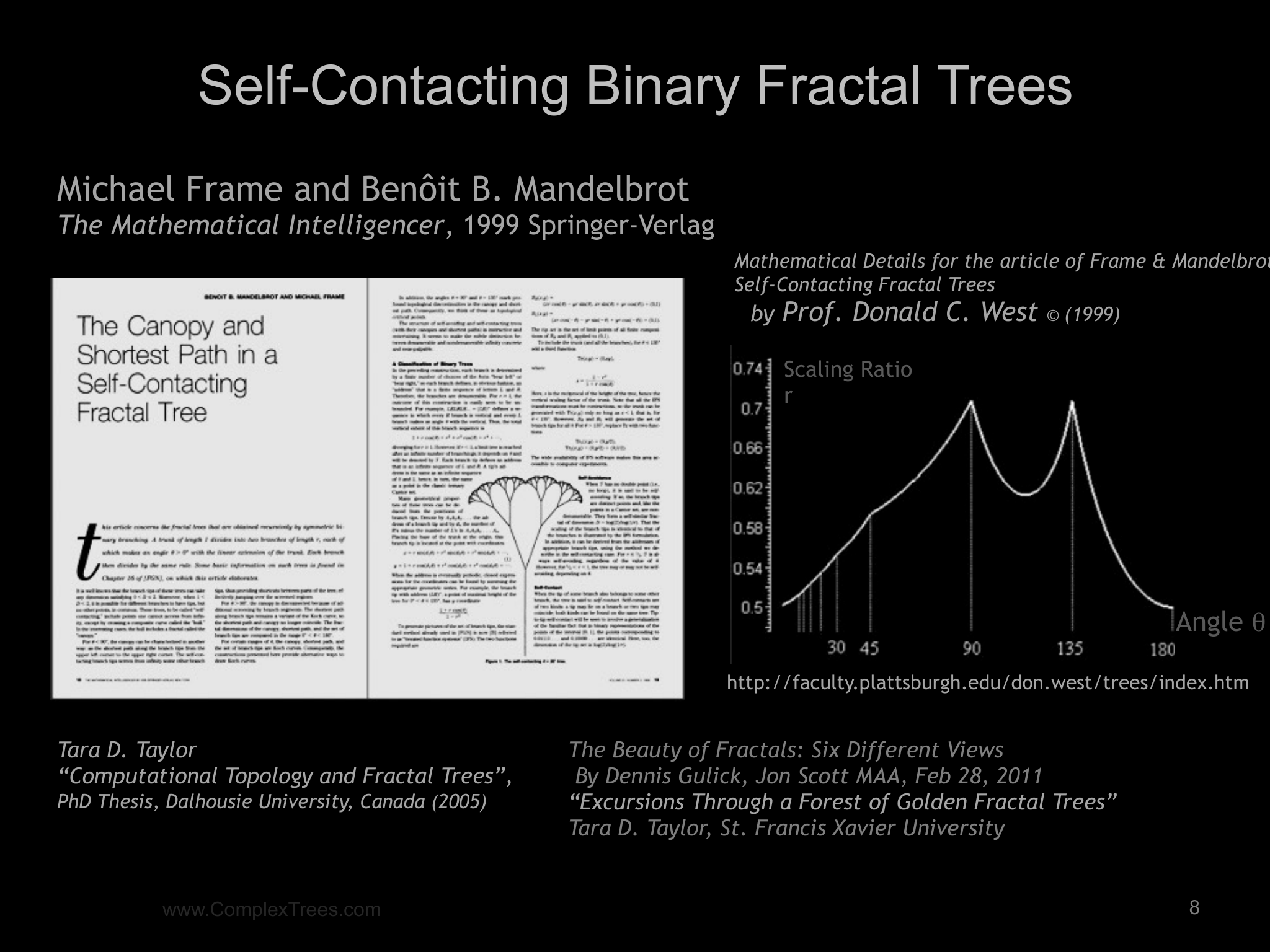 Slide 8: The Beauty of Fractals: Six Different Views By Dennis Gulick, Jon Scott MAA, Feb 28, 2011 “Excursions Through a Forest of Golden Fractal Trees” Tara D. Taylor, St. Franci