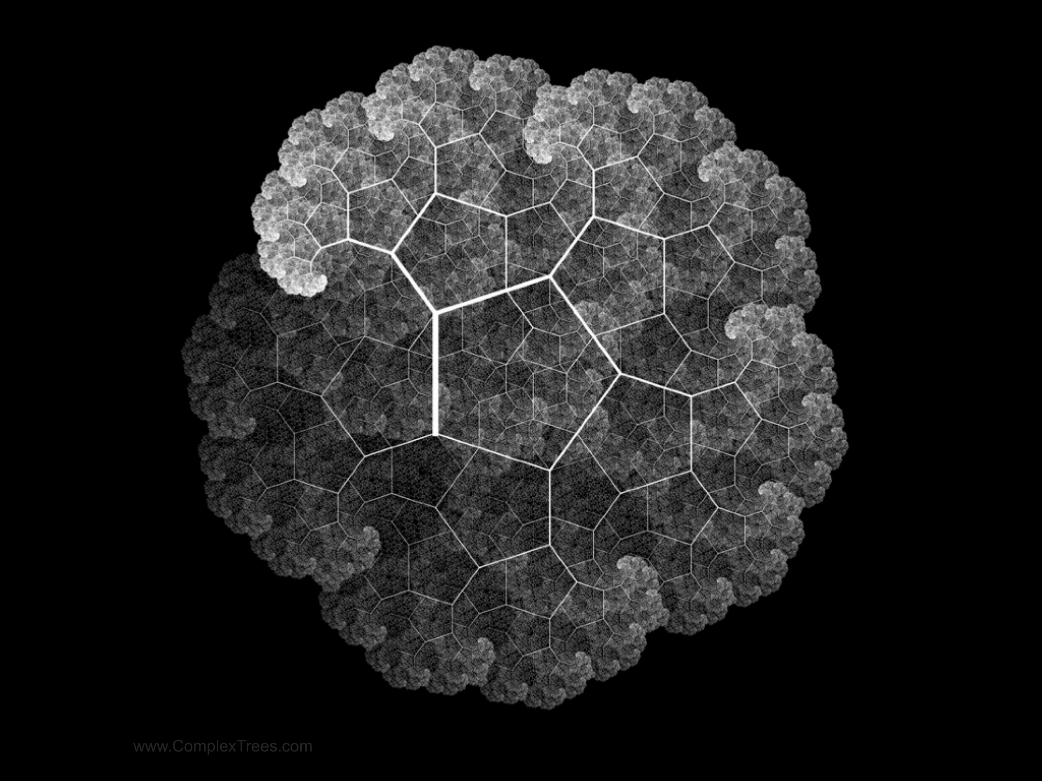 Slide 10: www.ComplexTrees.com