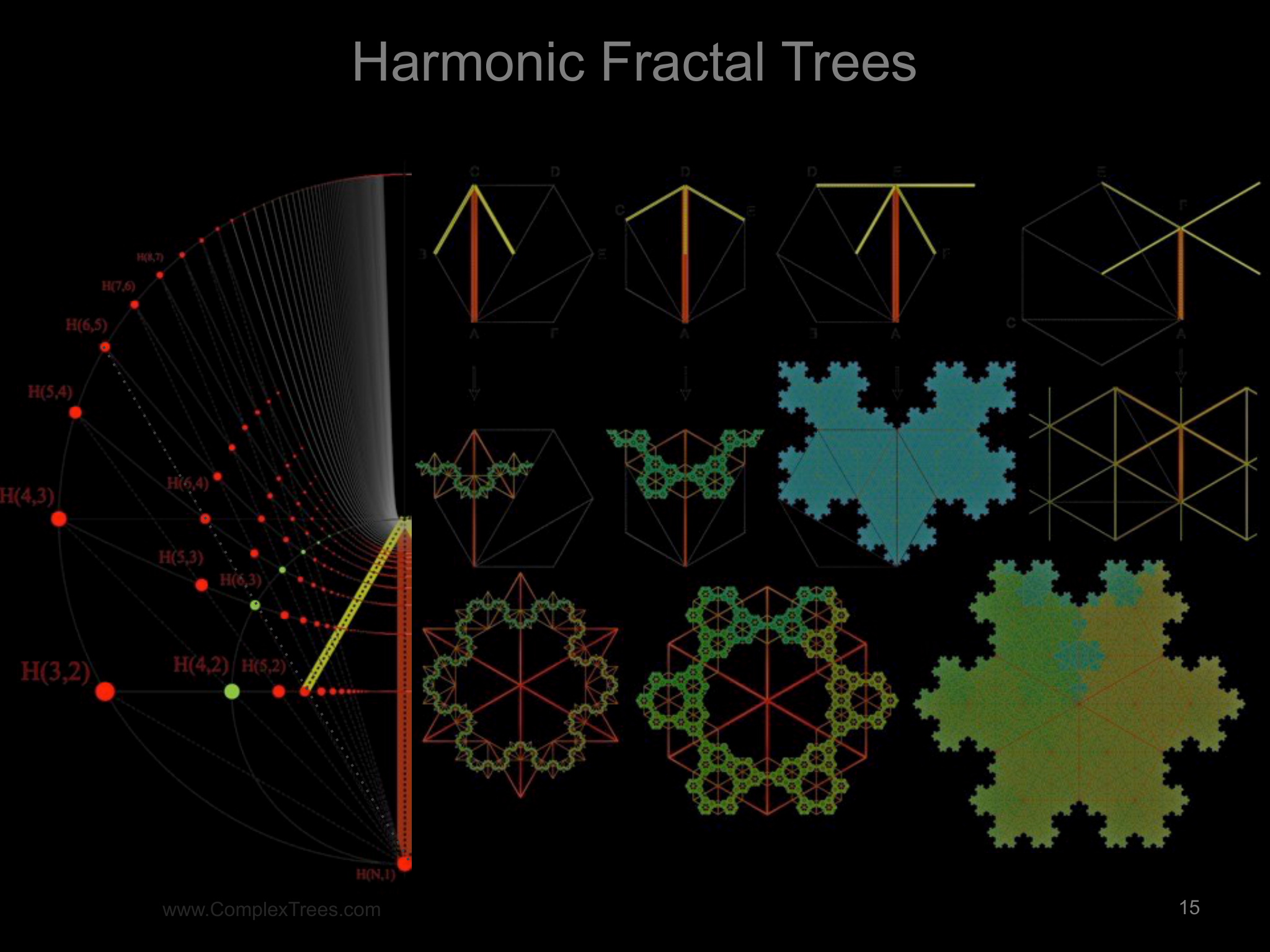Slide 15: www.ComplexTrees.com Harmonic Fractal Trees ￼