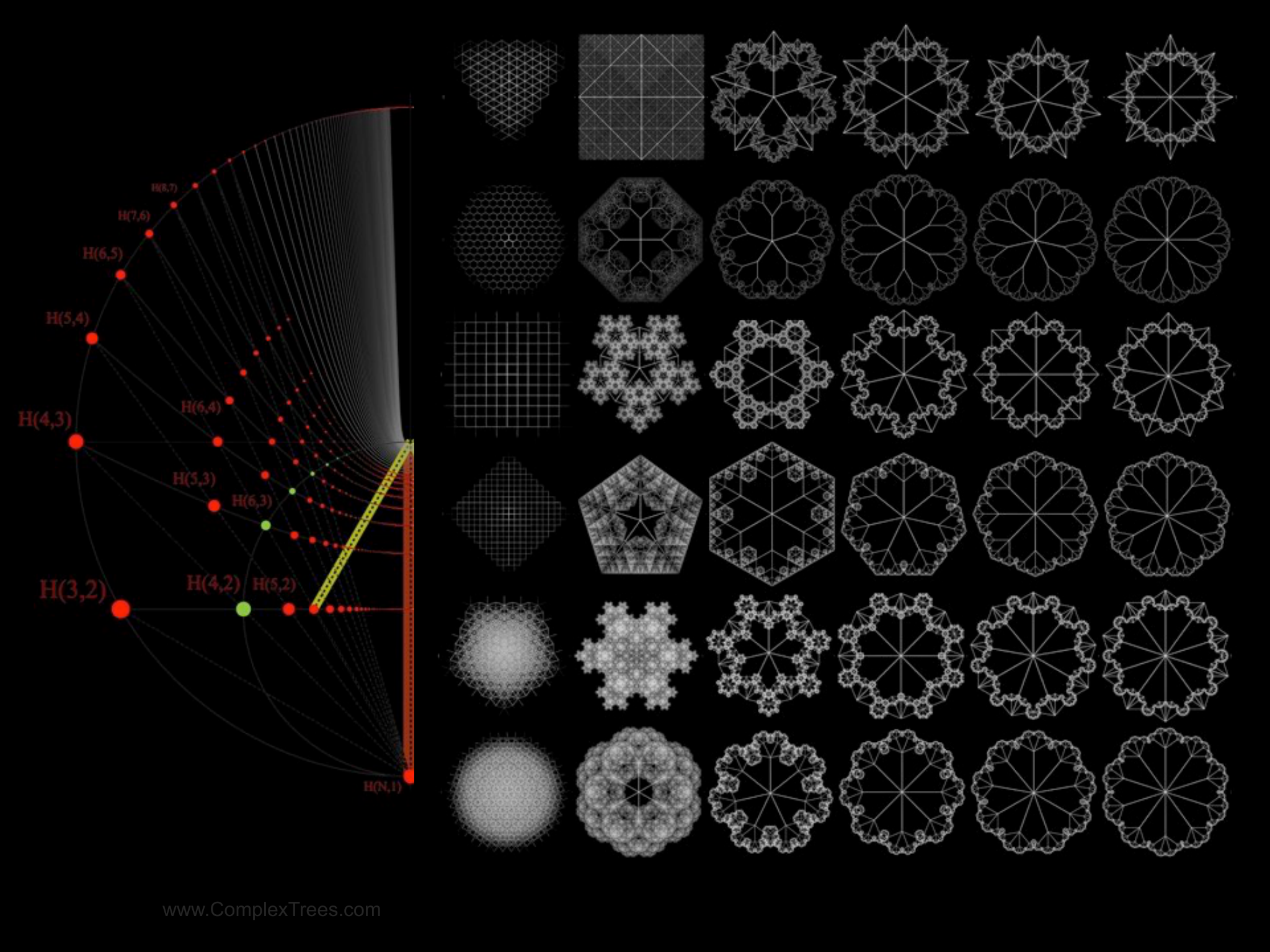 Slide 18: www.ComplexTrees.com