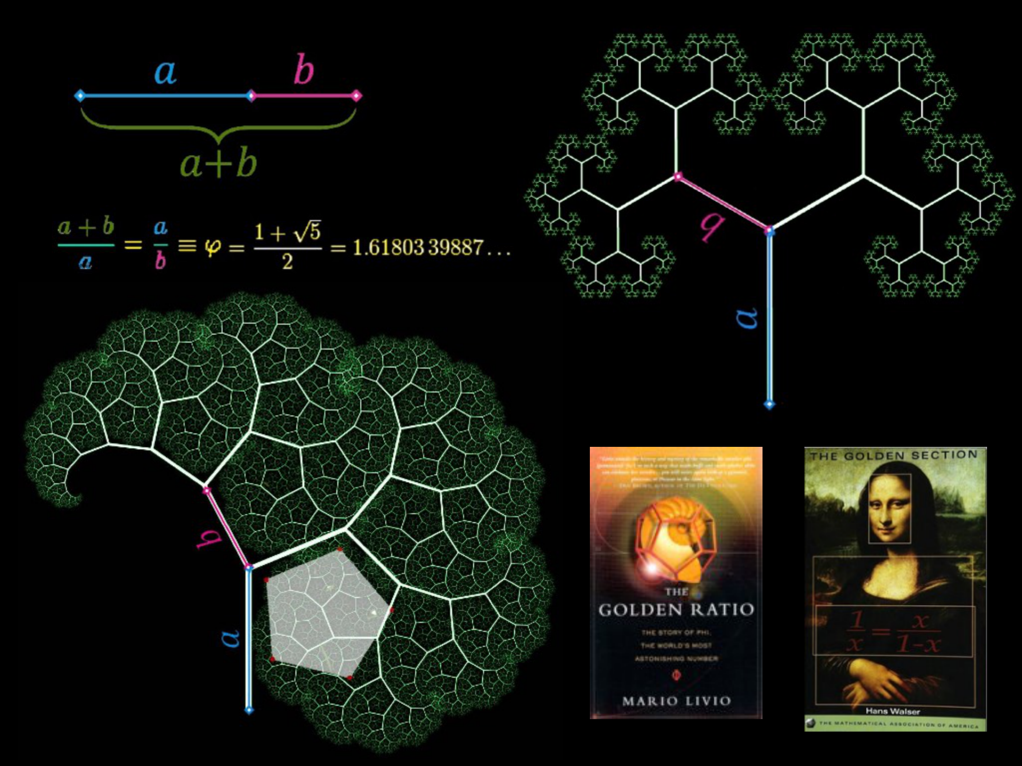 Slide 23 — visual material from the original presentation