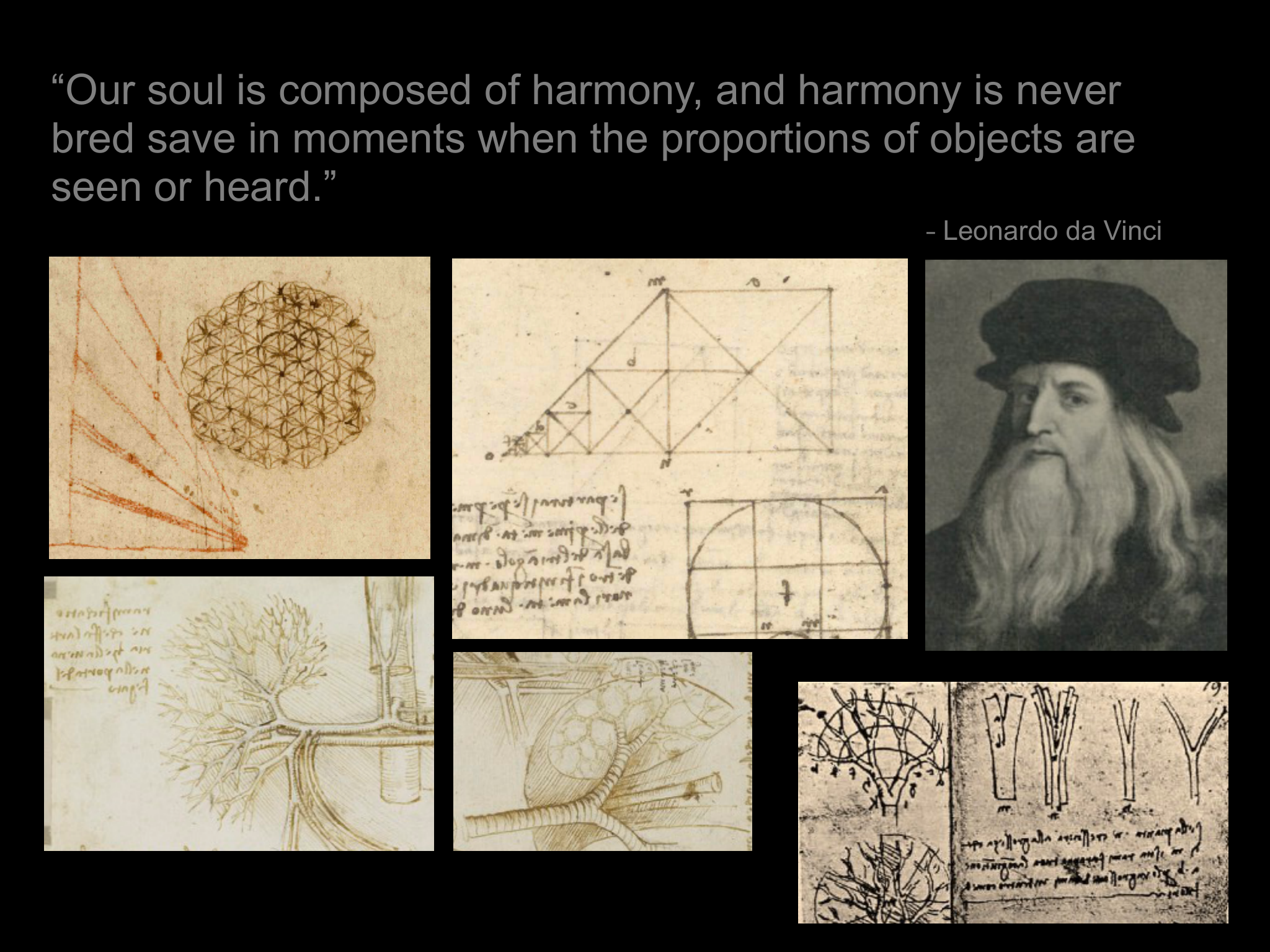 Slide 24: “Our soul is composed of harmony, and harmony is never bred save in moments when the proportions of objects are seen or heard.” ⎯ Leonardo da Vinci