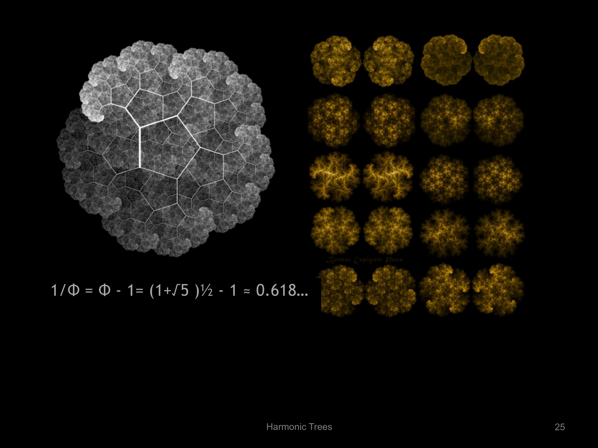 Slide 25: Harmonic Trees ￼ 1/Φ = Φ - 1= (1+√5 )½ - 1 ≈ 0.618…
