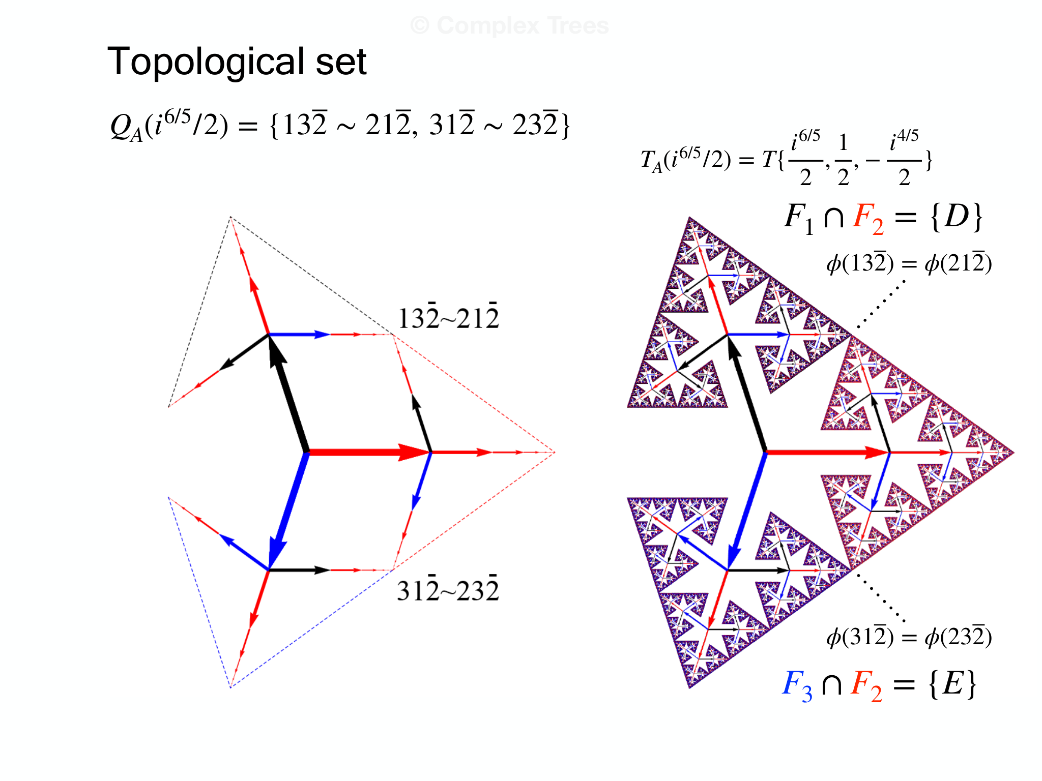 Slide 8: Topological set © Complex Trees