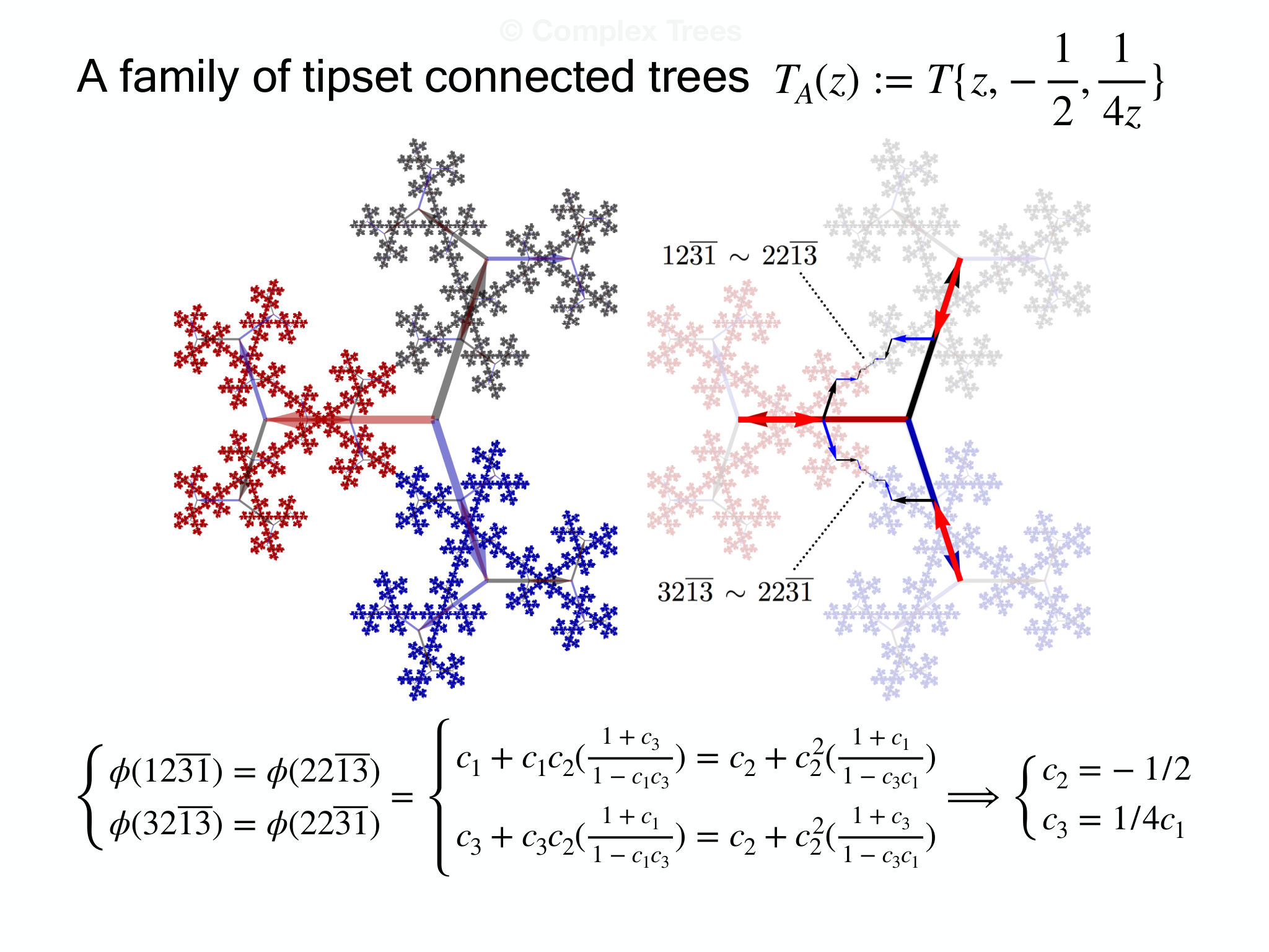 Slide 18: A family of tipset connected trees © Complex Trees