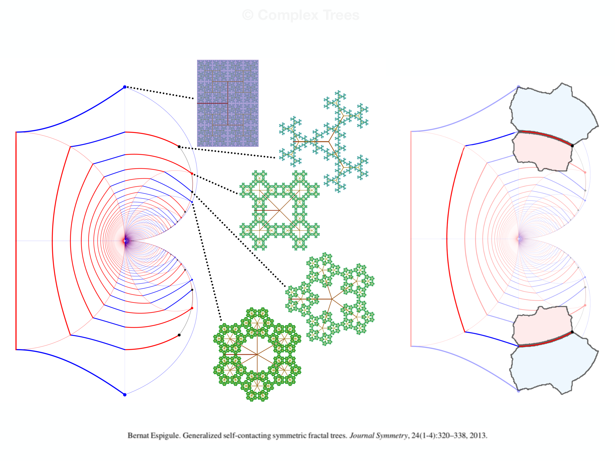 Slide 21: © Complex Trees